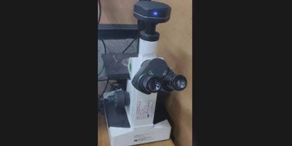 Metallurgical inverted microscope